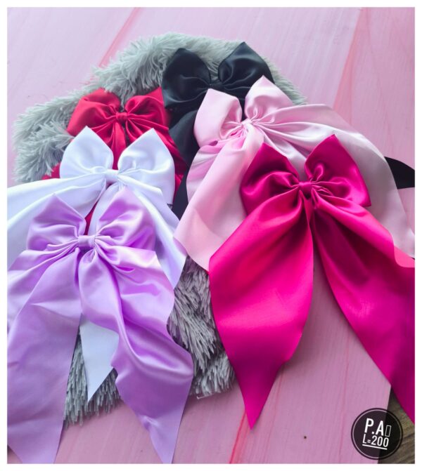 🎀🎀Moños Coquette 🎀🎀